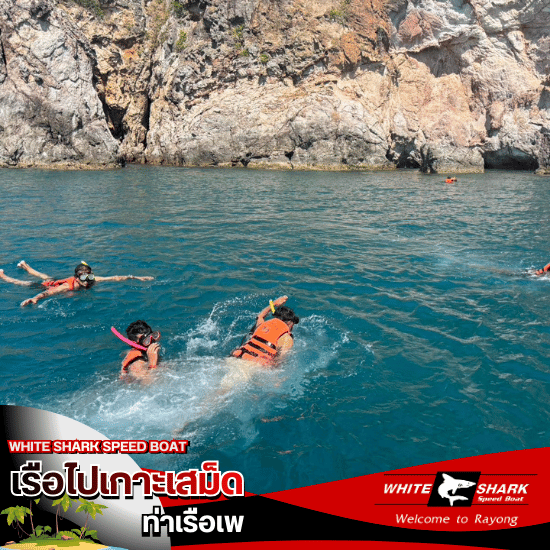 ทริปดําน้ำ เกาะเสม็ด Snorkeling trip, Koh Samet - เรือไปเกาะเสม็ด ท่าเรือเพ - White Shark