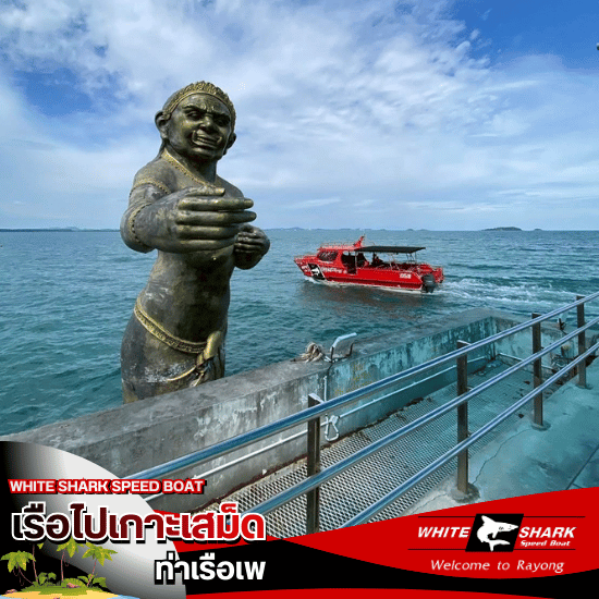 ไปเสม็ด ขึ้นท่าเรือไหน - เรือไปเกาะเสม็ด ท่าเรือเพ - White Shark