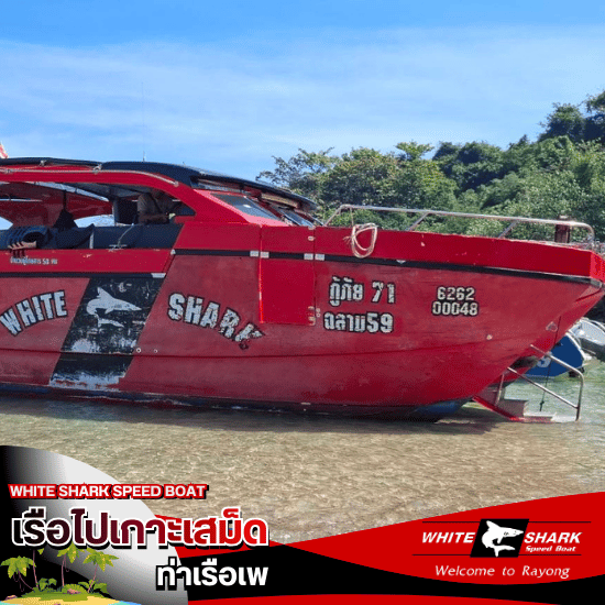 เรือสปีดโบ๊ท เกาะเสม็ด - เรือไปเกาะเสม็ด ท่าเรือเพ - White Shark