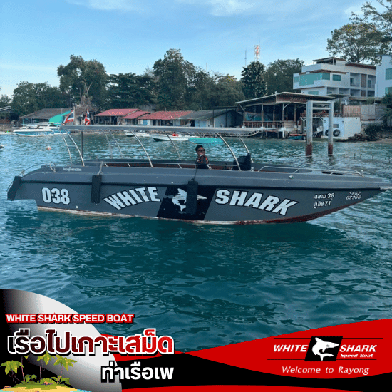 เหมาเรือสปีดโบ๊ท เสม็ด - เรือไปเกาะเสม็ด ท่าเรือเพ - White Shark